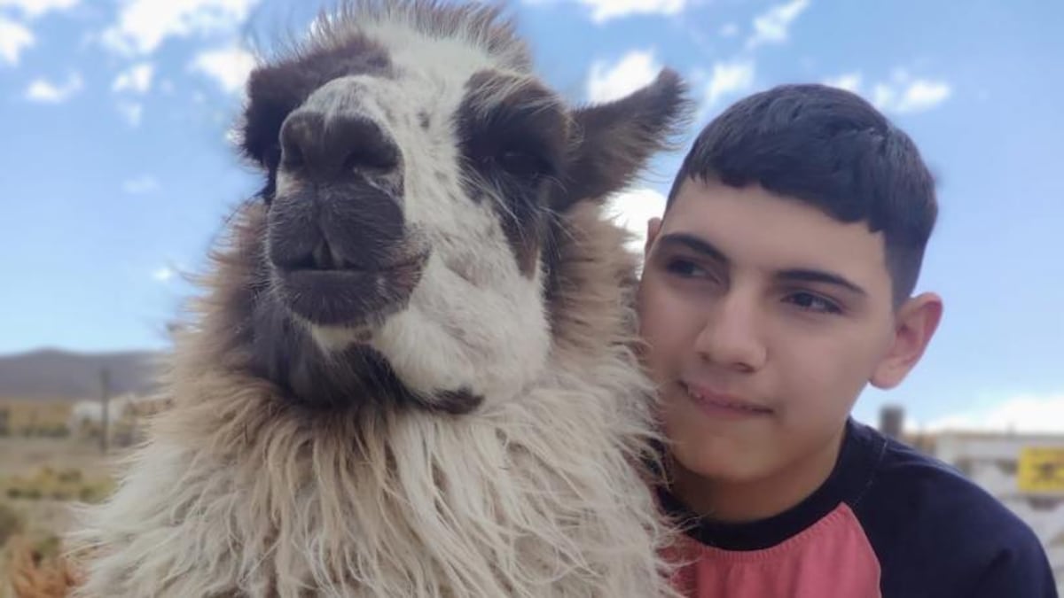 Álvaro, el joven tucumano con microcefalia congénita que este martes cumplió 16 años.