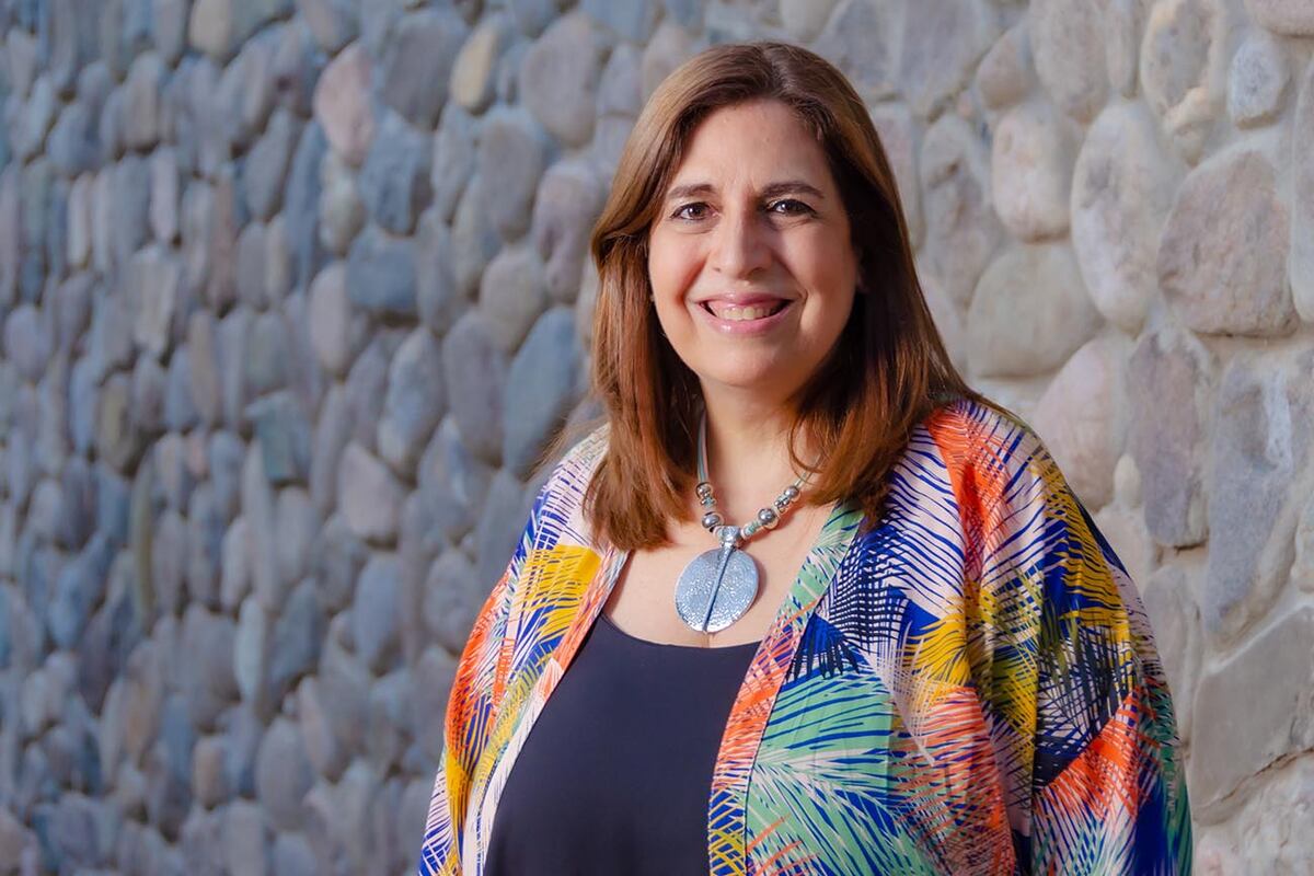 La presidenta del Colegio de Ingenieros Civiles, Alejandra Deguer.