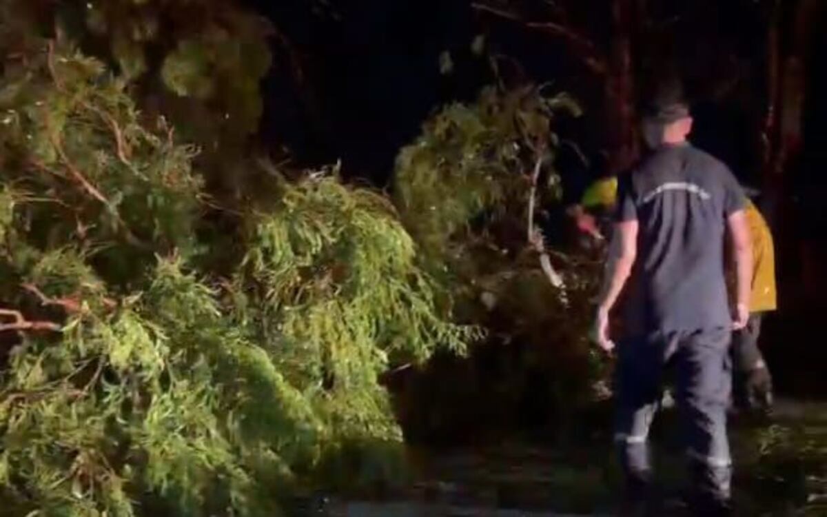 Lo que dejó el paso de la tormenta en el sudeste cordobes. (Gobierno de Córdoba)