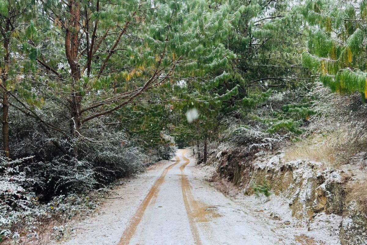Nieve en La Cumbrecita, este domingo 29 de junio. (La Voz)