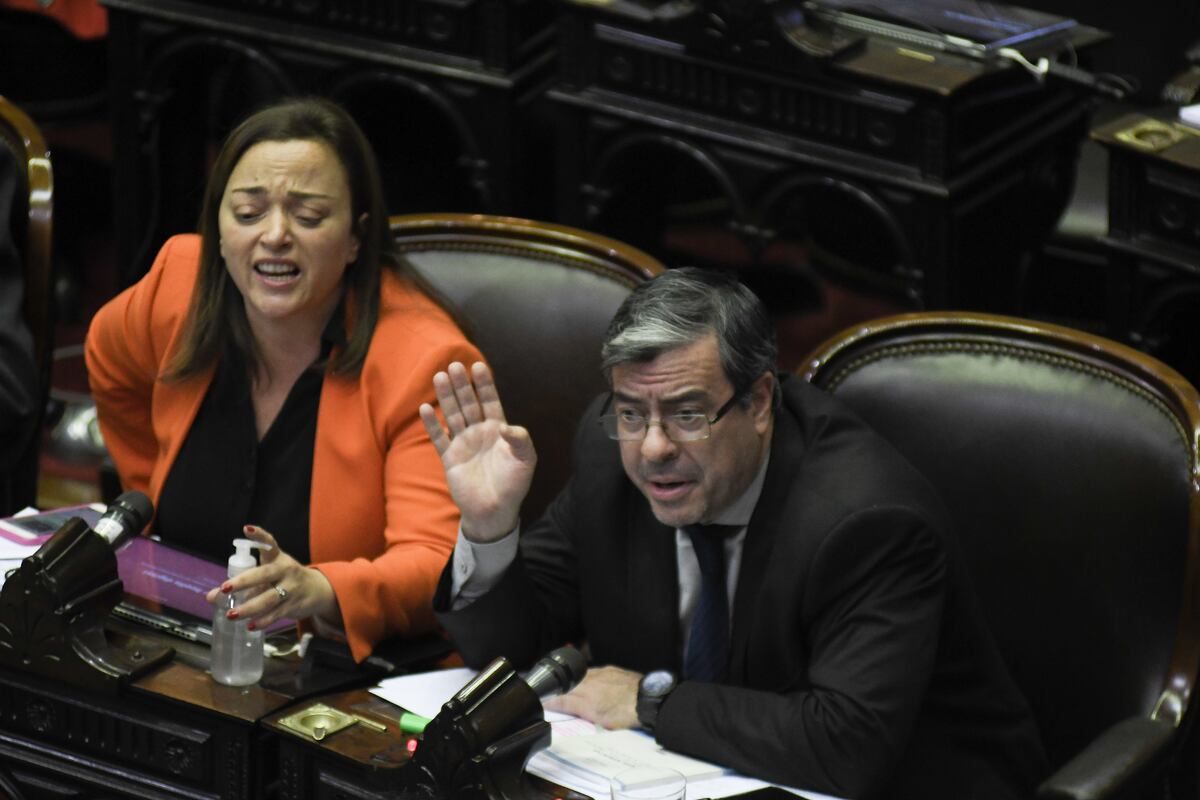 Sesión por la Boleta Única. (Federico Lopez Claro)