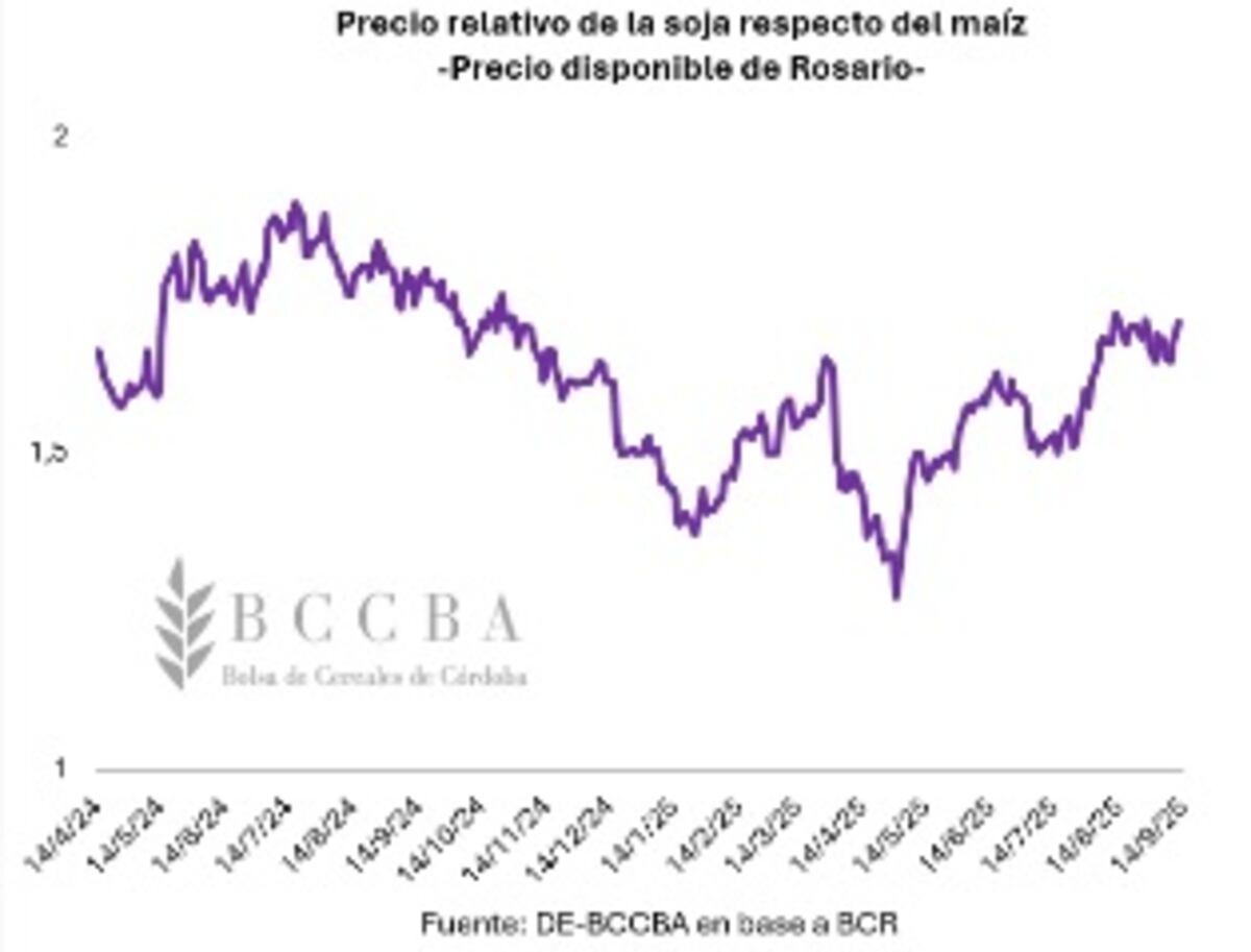 (Gentileza BCCBA)
