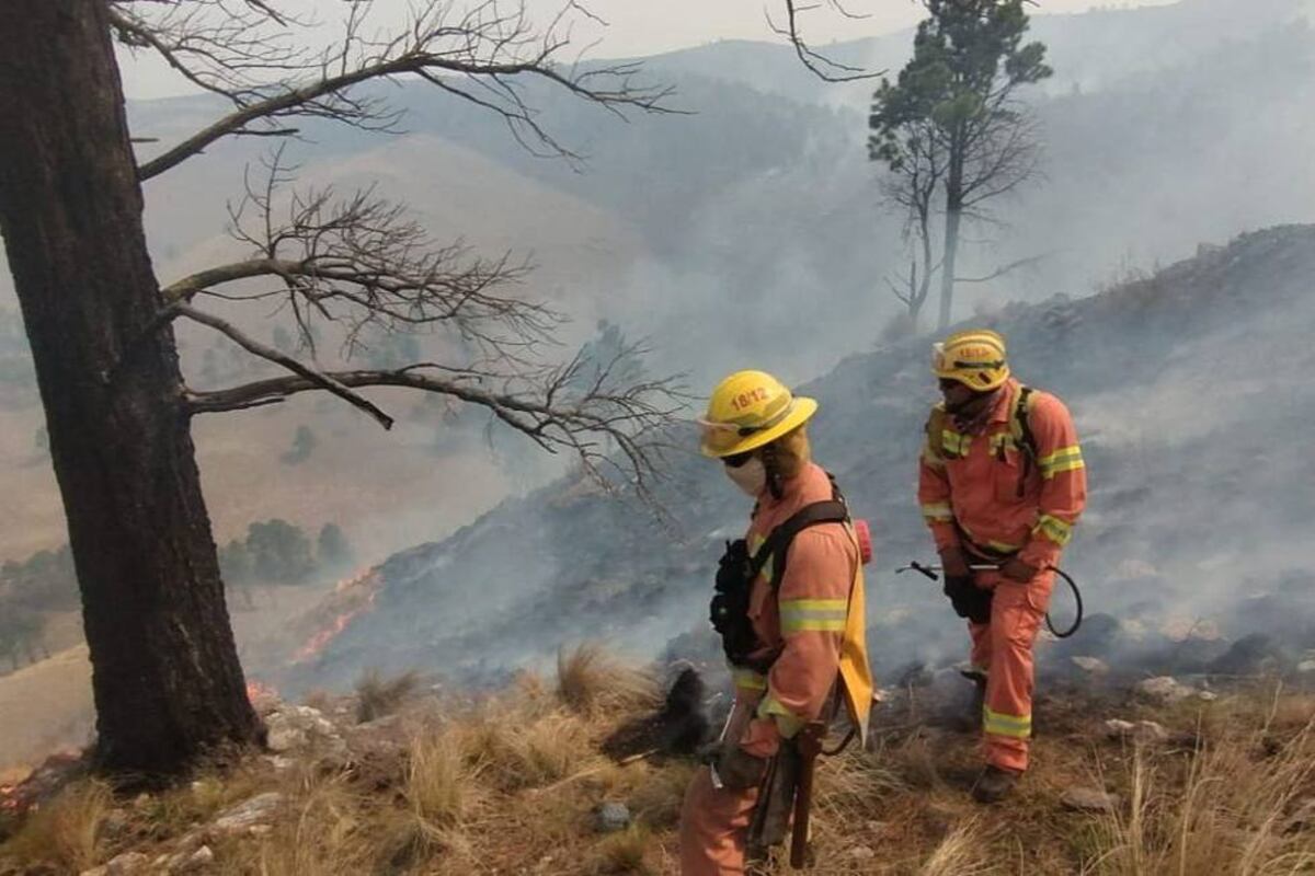 Denuncian estafas virtuales usando nombres de bomberos de Jesús María 