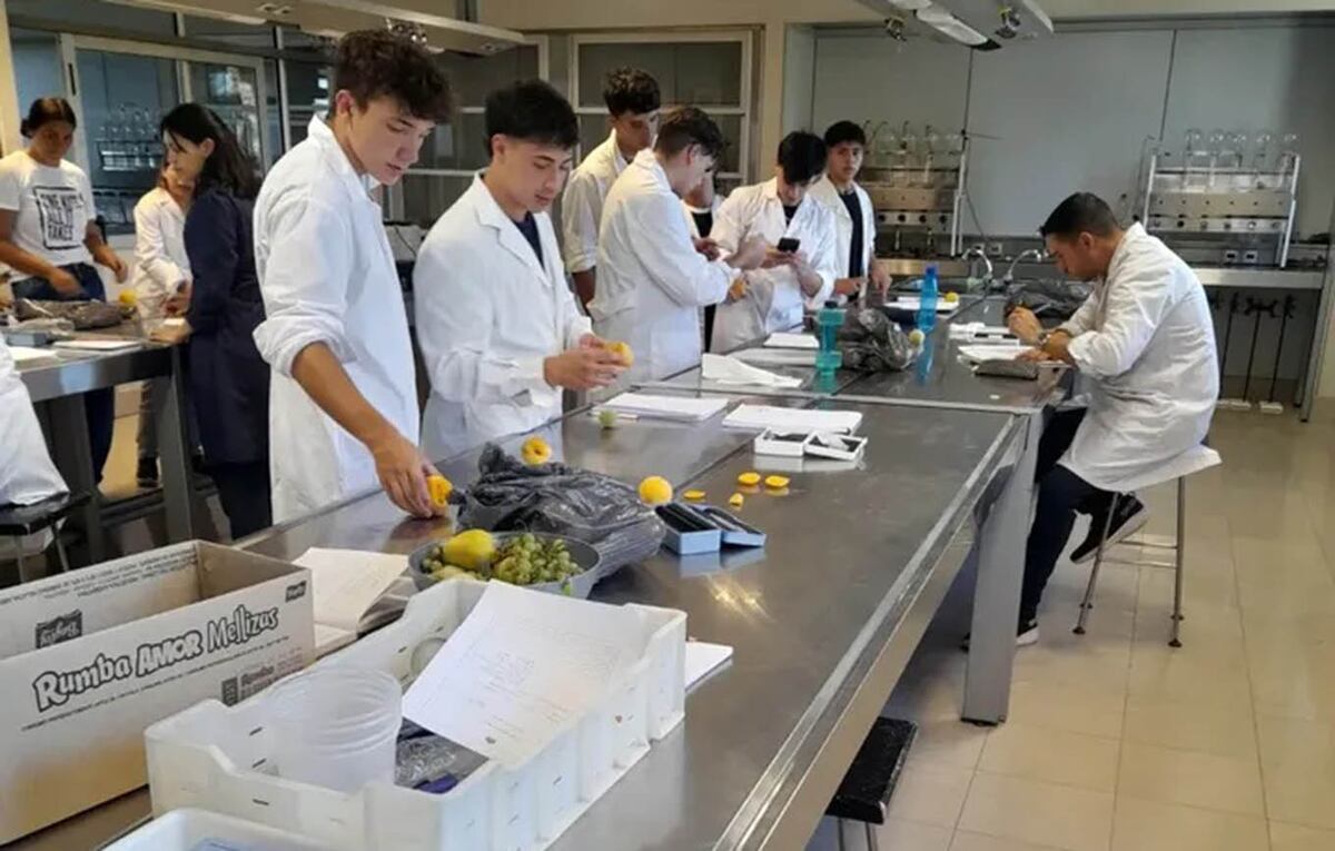 Se puede conocer los tallleres y las instalaciones donde los estudiantes trabajan junto con el enólogo en su formación académica, (Foto: gentileza Bodega Don Bosco)