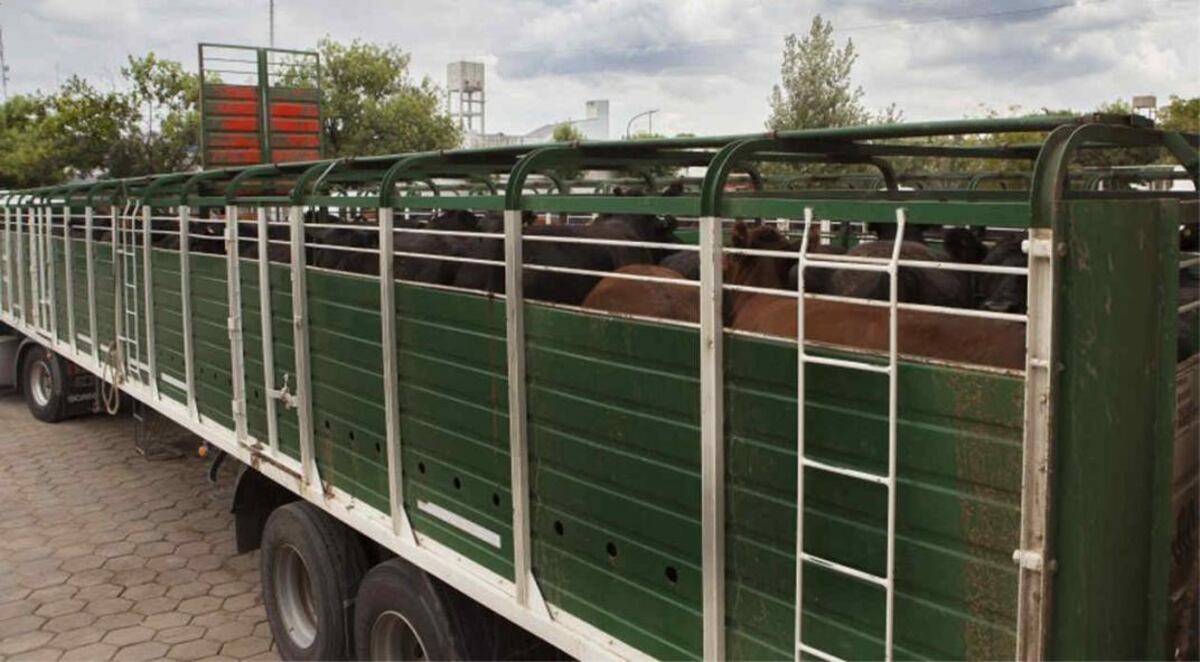 Presentan dos opciones para dejar si efecto en cobro de una tasa municipal en la provincia