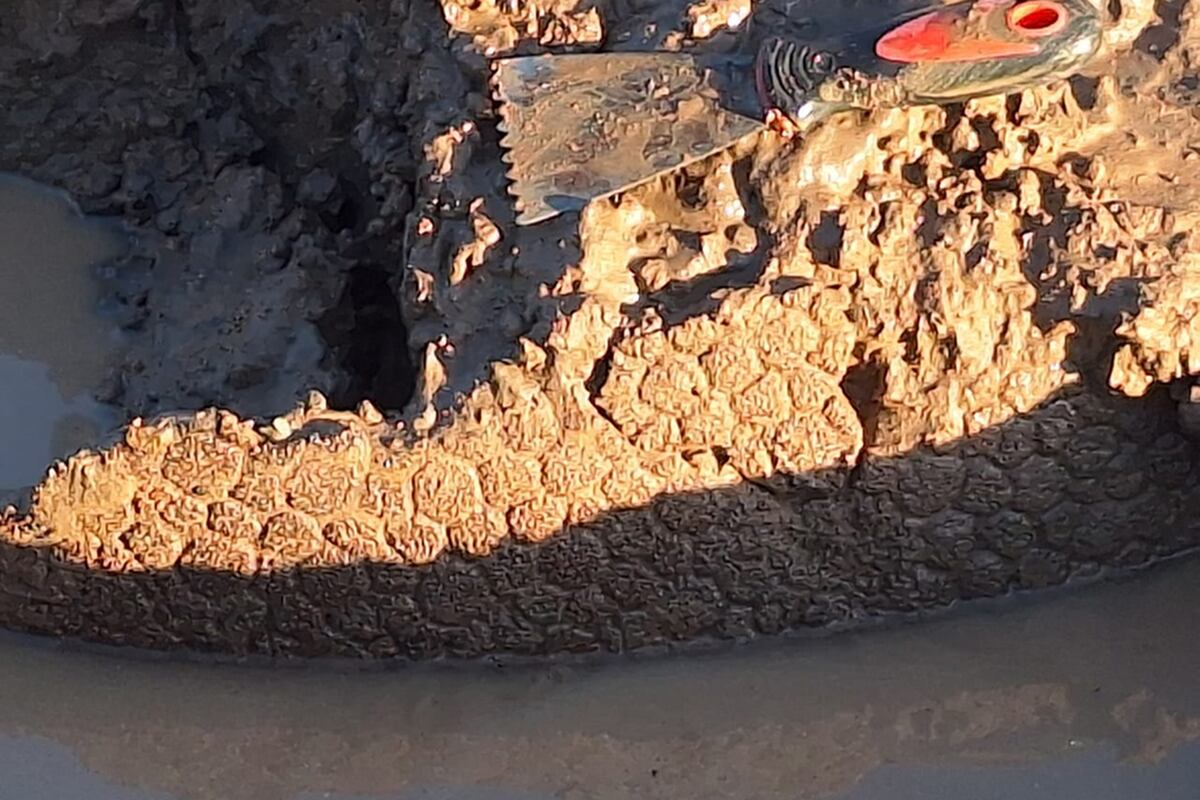 Un gliptodonte en Pampayasta.