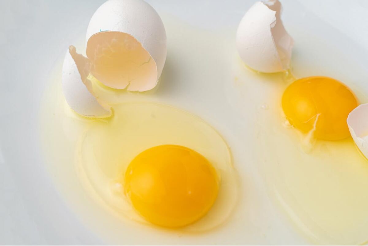 Los huevos son seguros de consumir si se cocinan de manera apropiada / Sanatorio Allende
