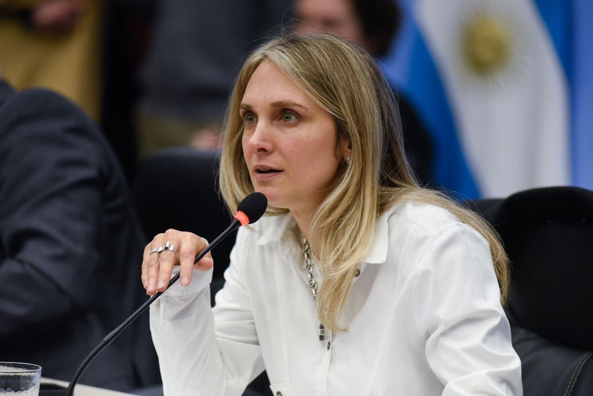 La diputada nacional riotercerense Gabriela Brouwer de Koning. 