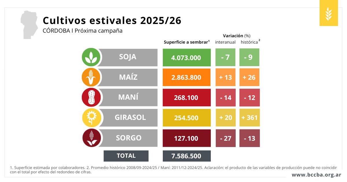 Cultivos estivales 2025/2026 en Córdoba. Estimaciones para la próxima campaña. (Gentileza BCCBA)