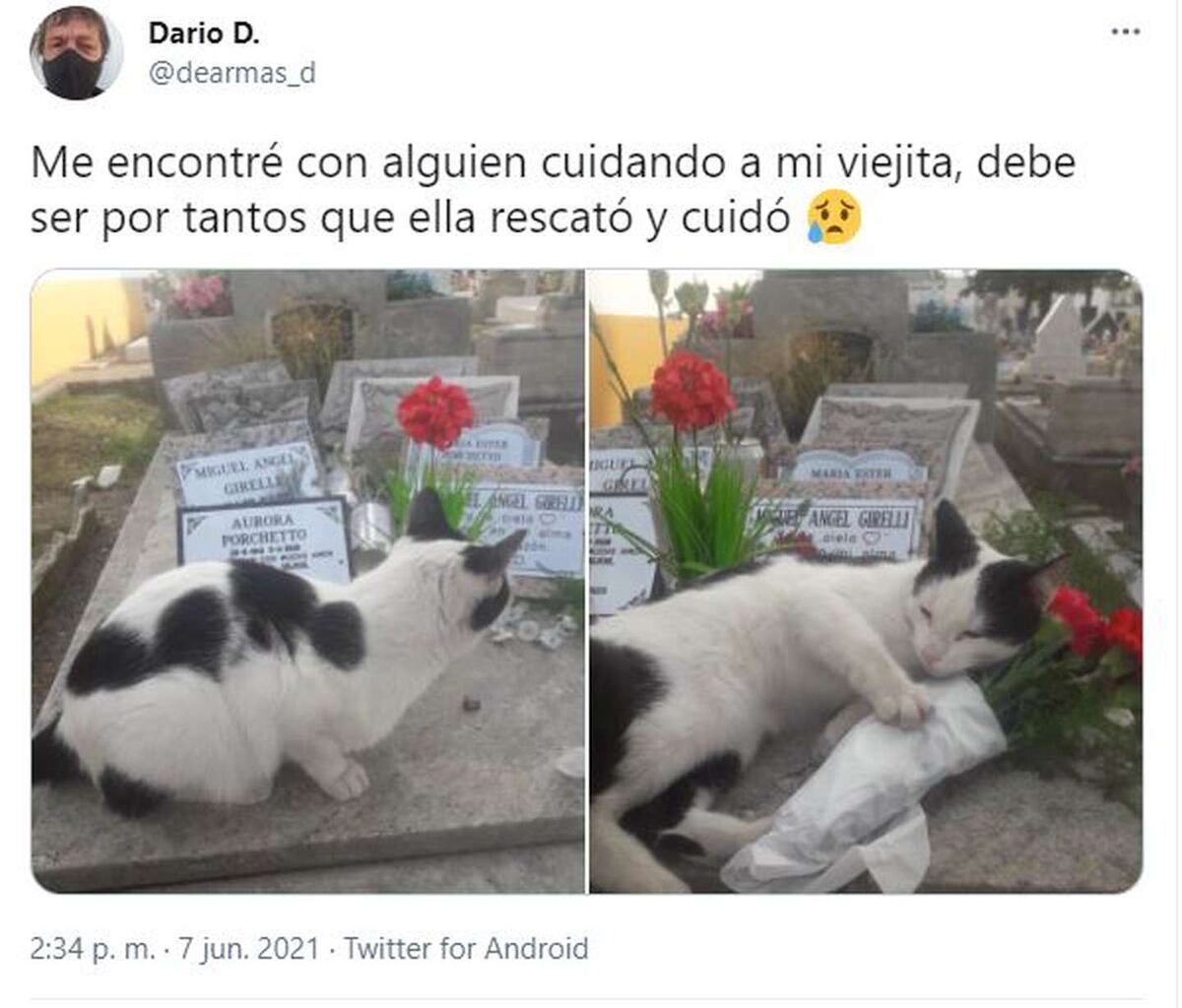 Imagen de la nota