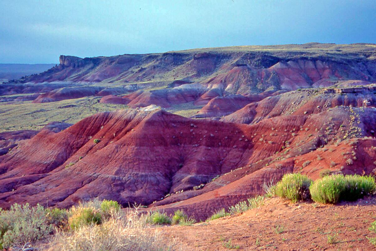 Painted desert El desierto Pintado de Arizona Foto: Wikimedia Commons