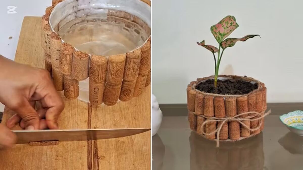 El secreto ecológico: por qué poner corchos en la tierra de tus plantas revoluciona la jardinería