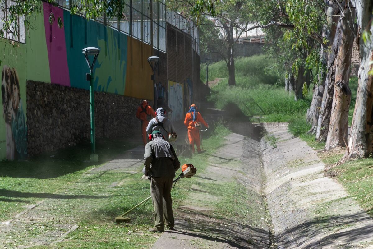 El trabajo de desmalezado lleva más de 10 días en la ciudad.
