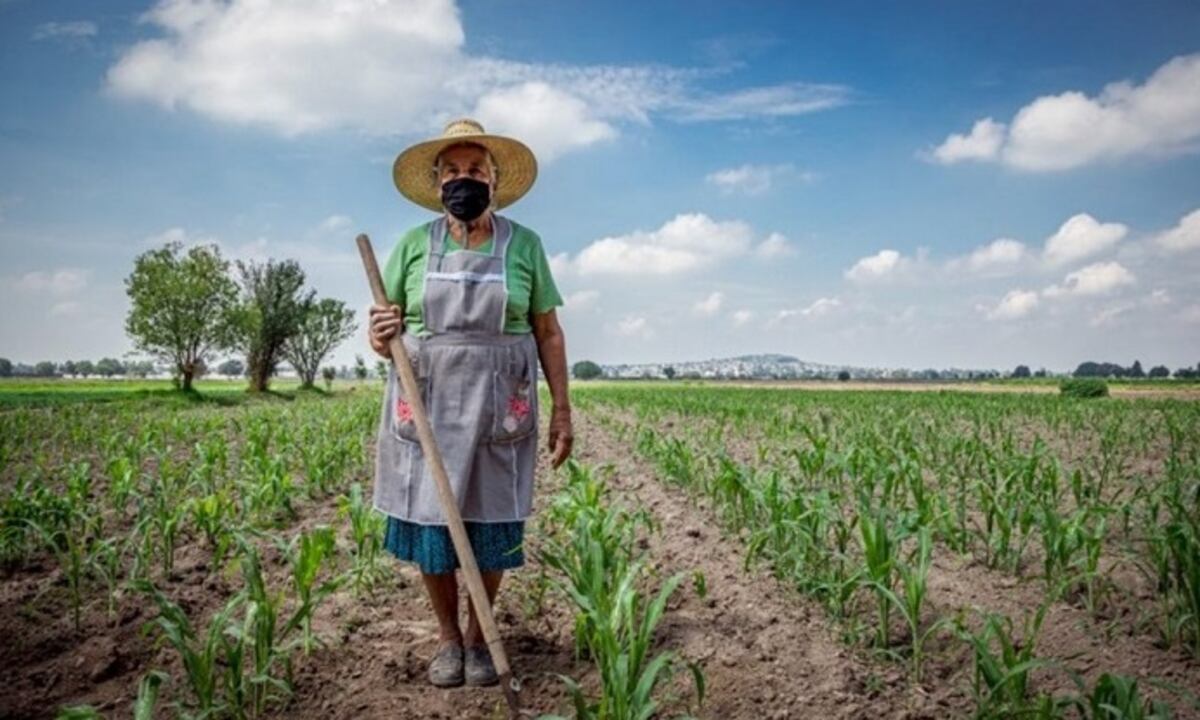 15 de octubre: Día de la Mujer Rural