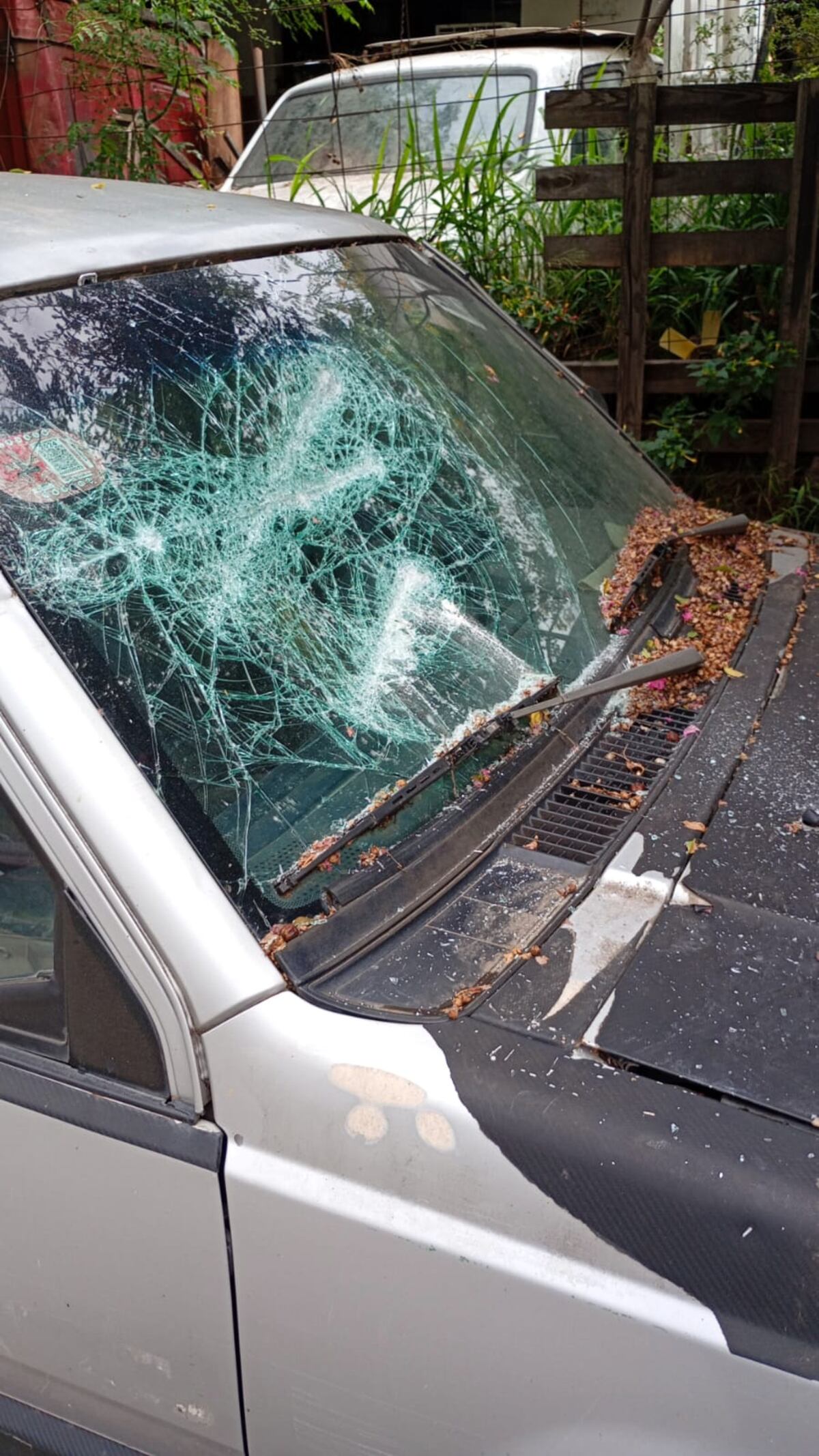 Violencia. Tras la discusión, el hombre destrozó los cuatro vehículos de su padre. (Policía de Córdoba)