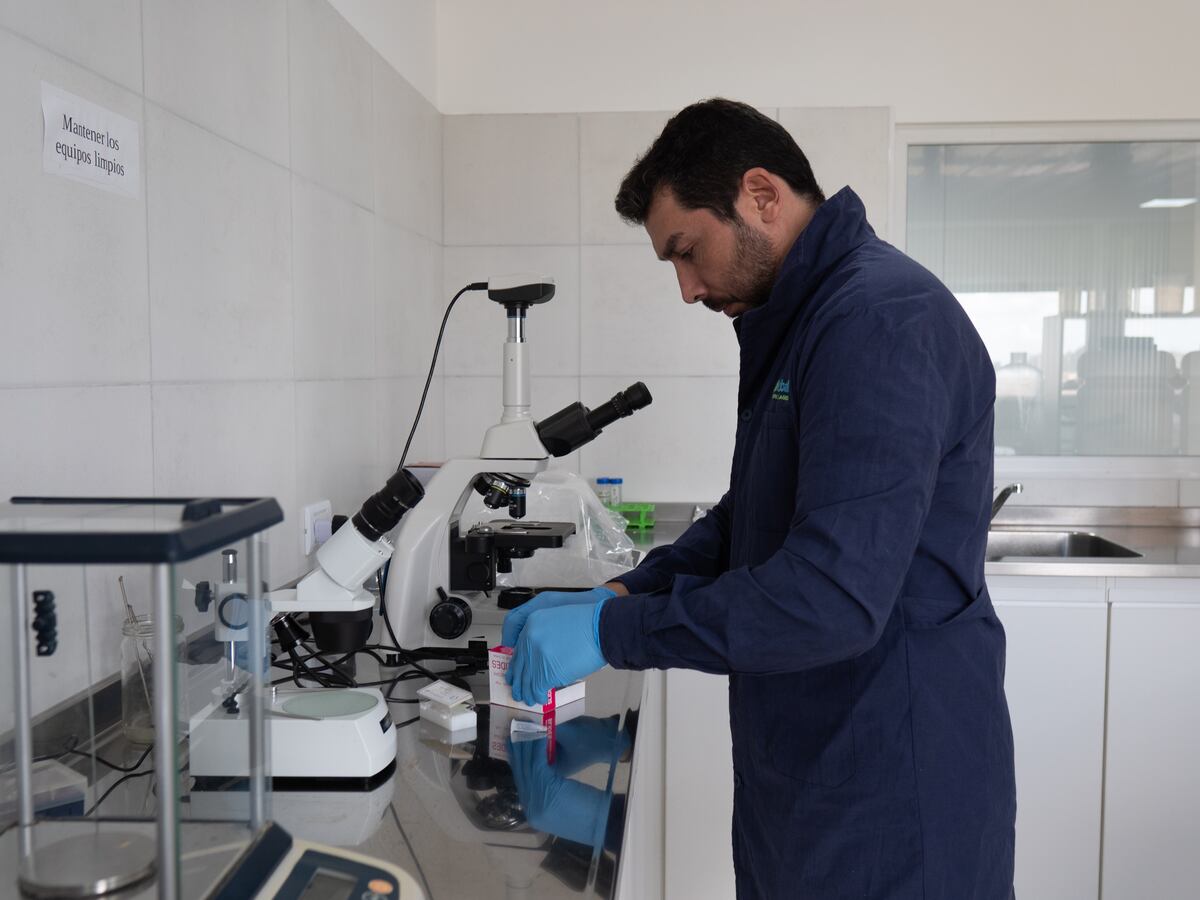 La compañía familiar es la principal fabricante de cebos para el control de plagas del país. (Gentileza AgriGlobal)