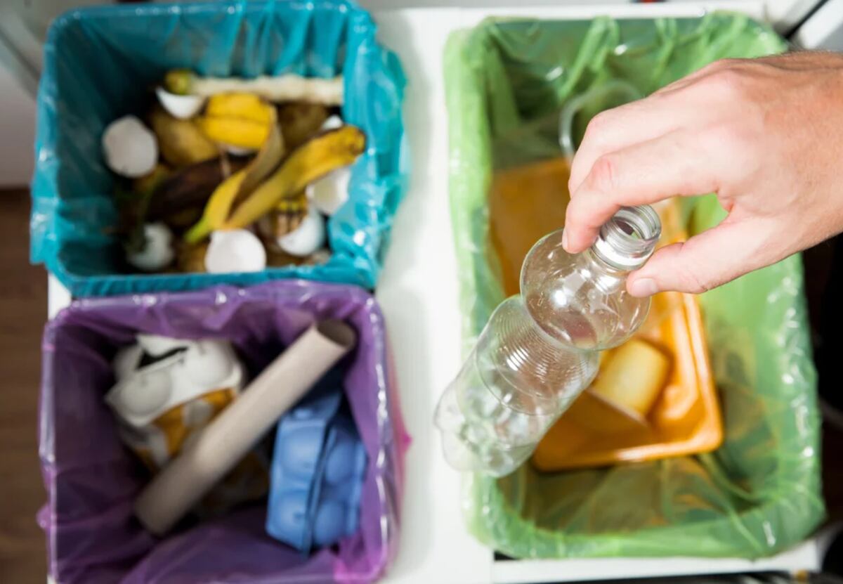 Incentivan a gastronómicos a reciclar sus residuos.
