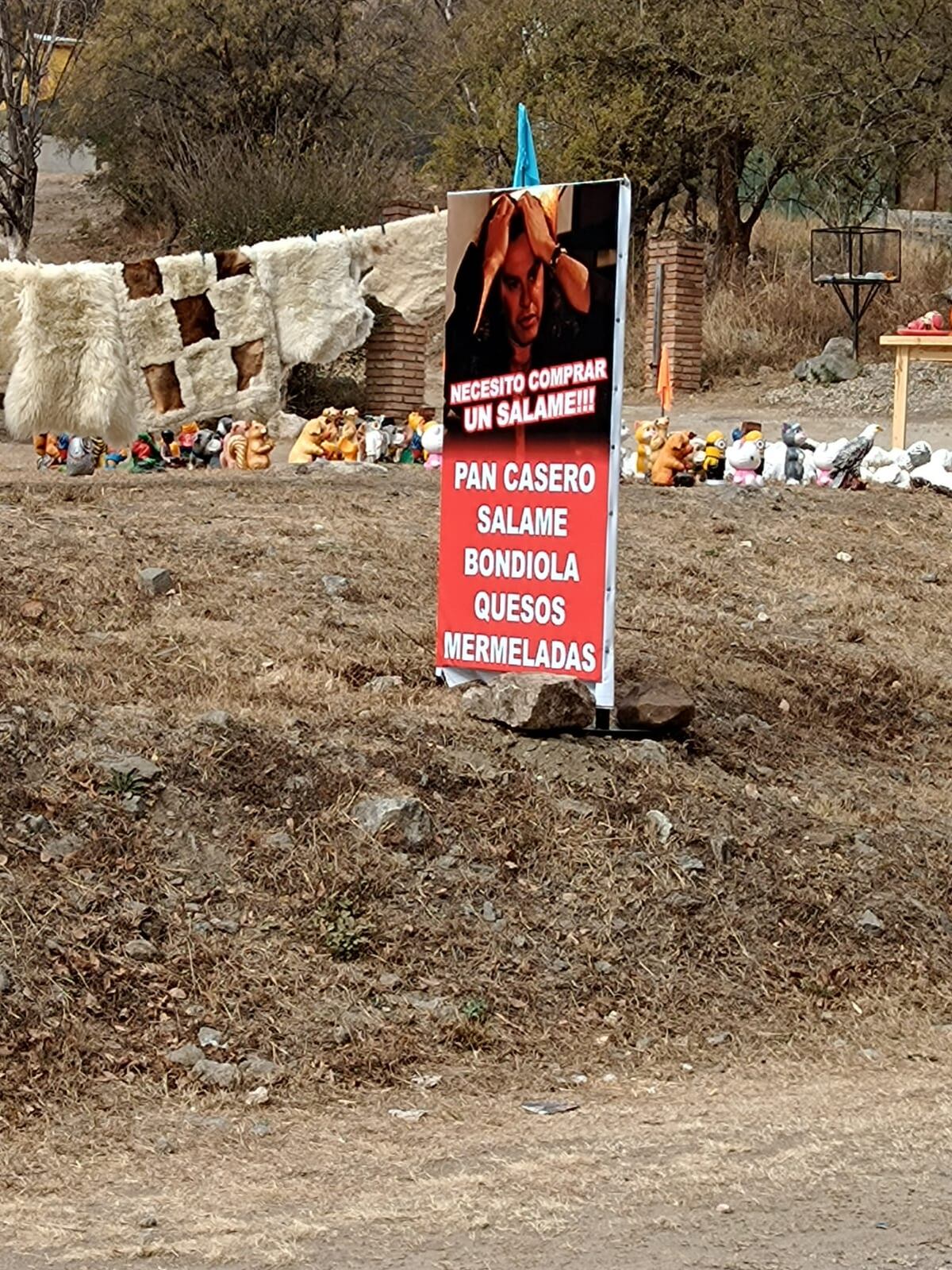 El meme de Osvaldo Laport adorna la ruta con su mensaje publicitario. (La Voz)