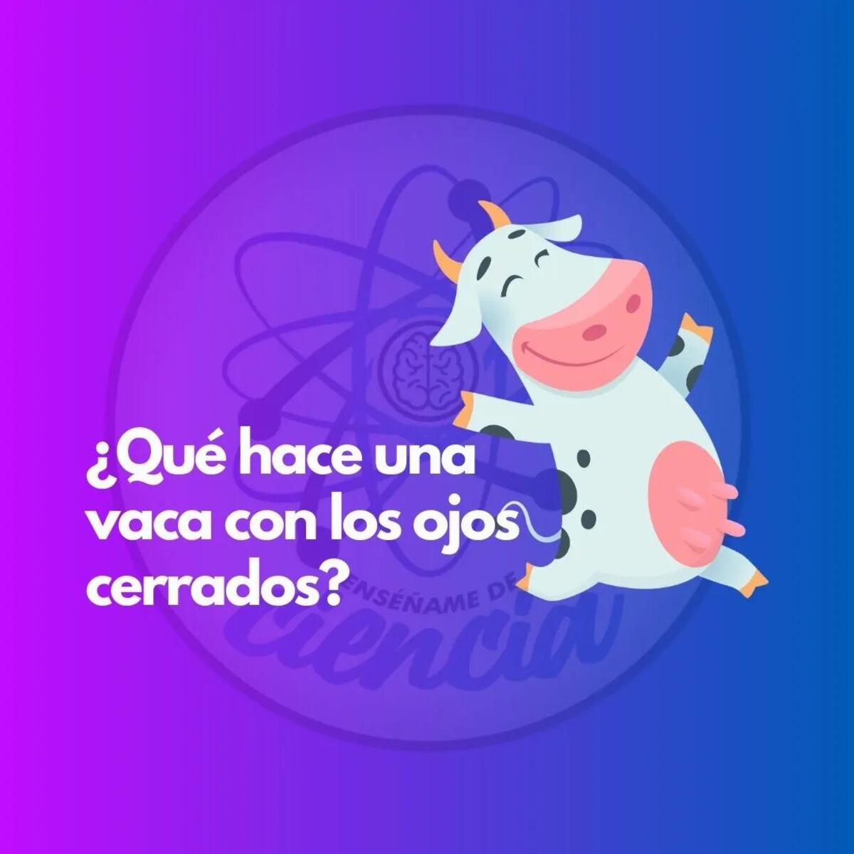 El acertijo visual.