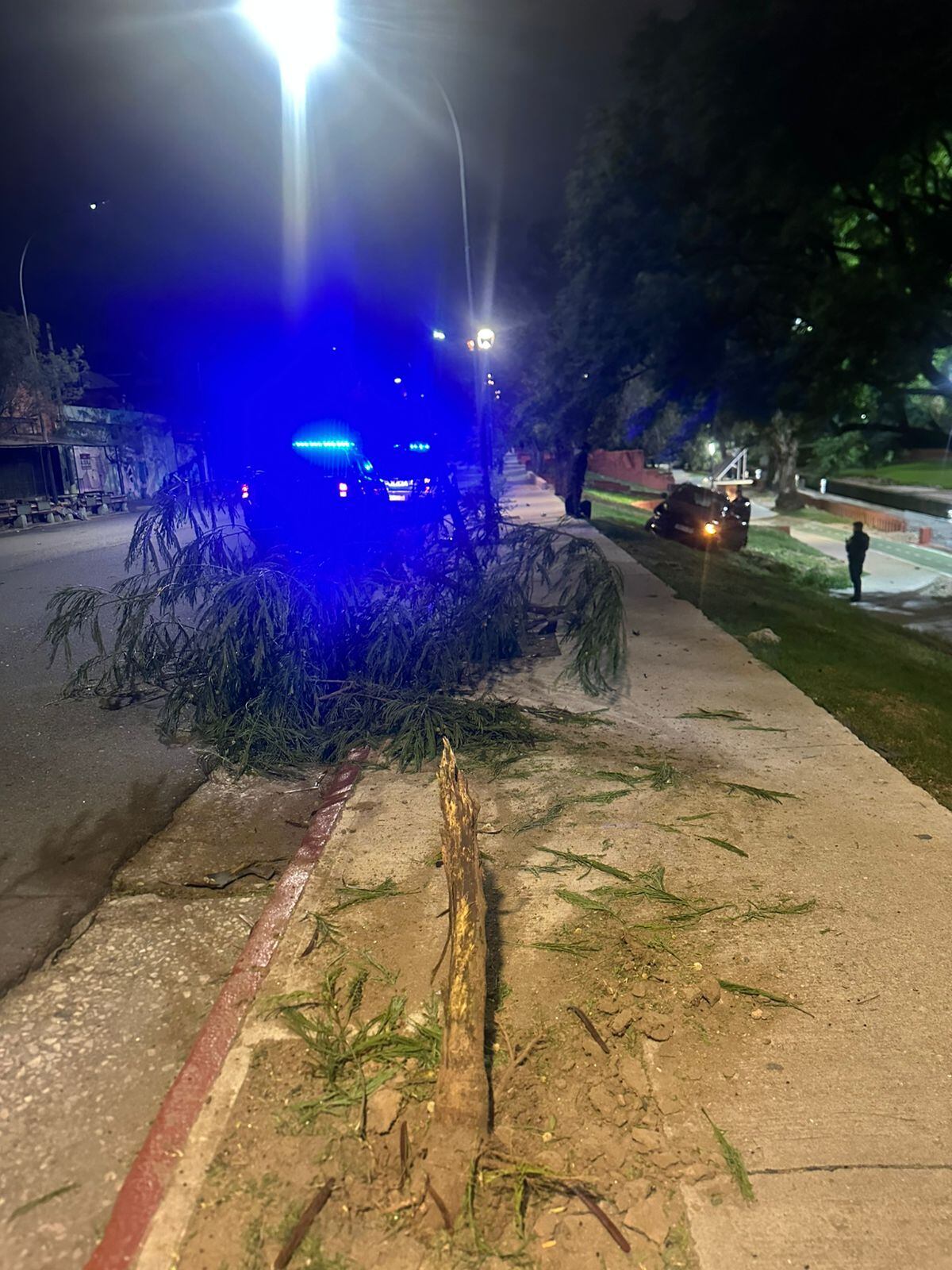 Despiste y choque. (Policía)