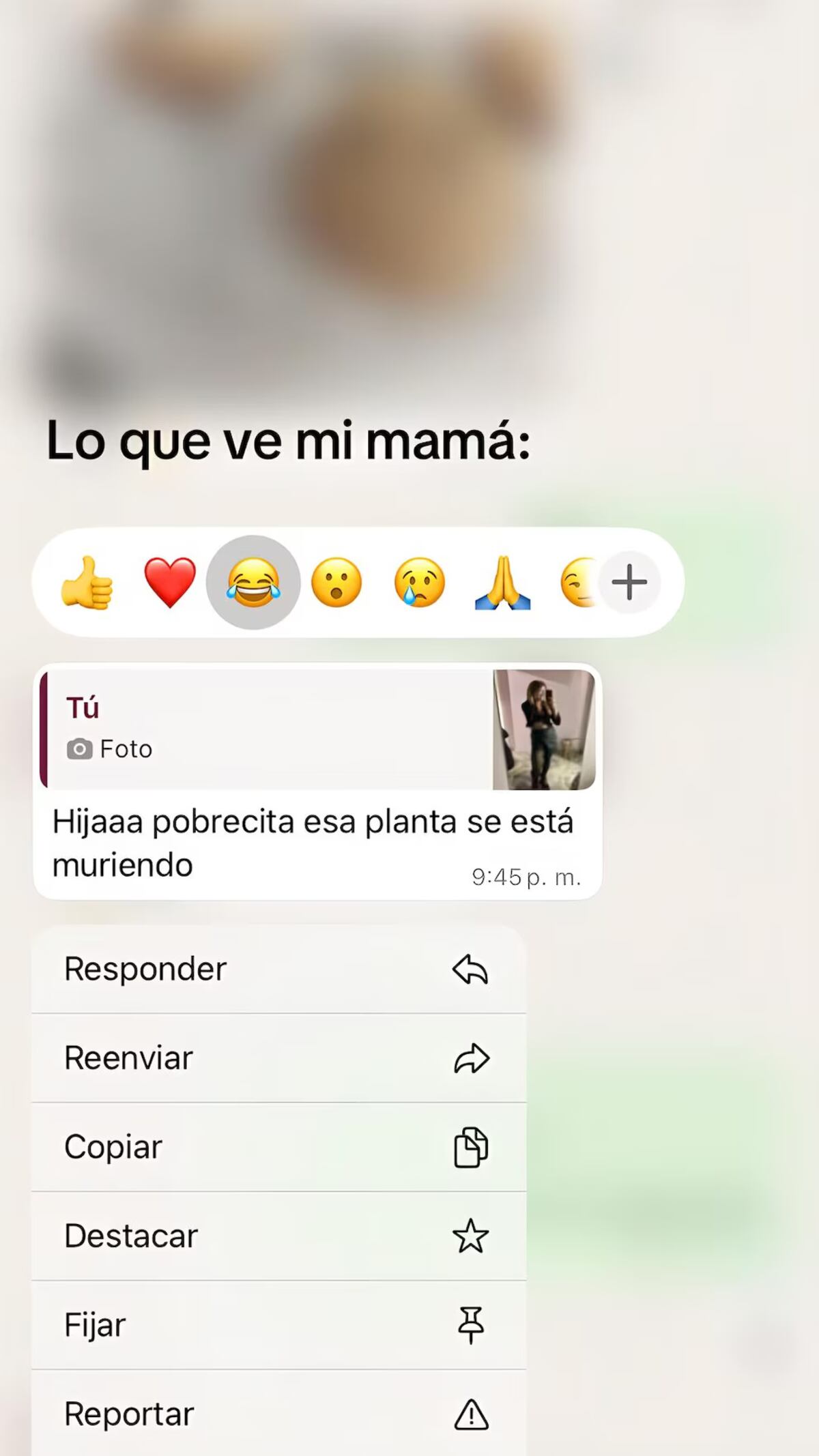 La conversación.