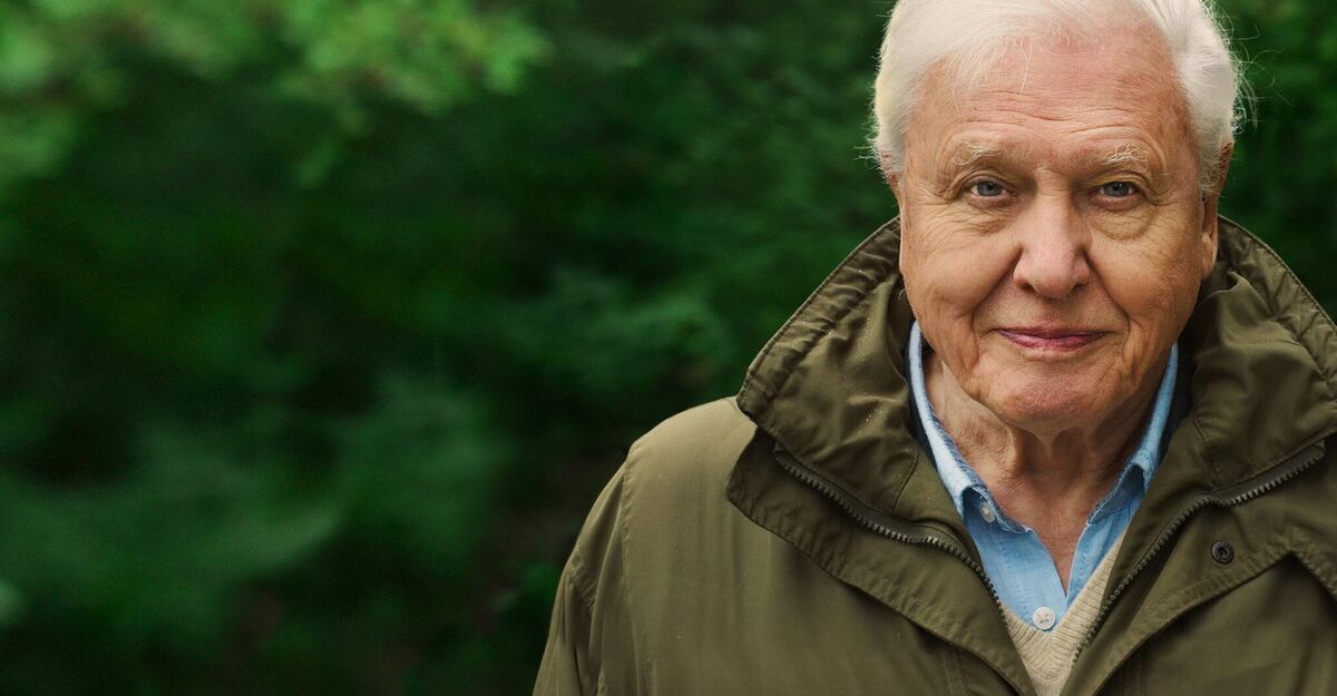 A sus 94 años, el científico británico estrenó la película sobre su vida con una mirada alentadora sobre el futuro.