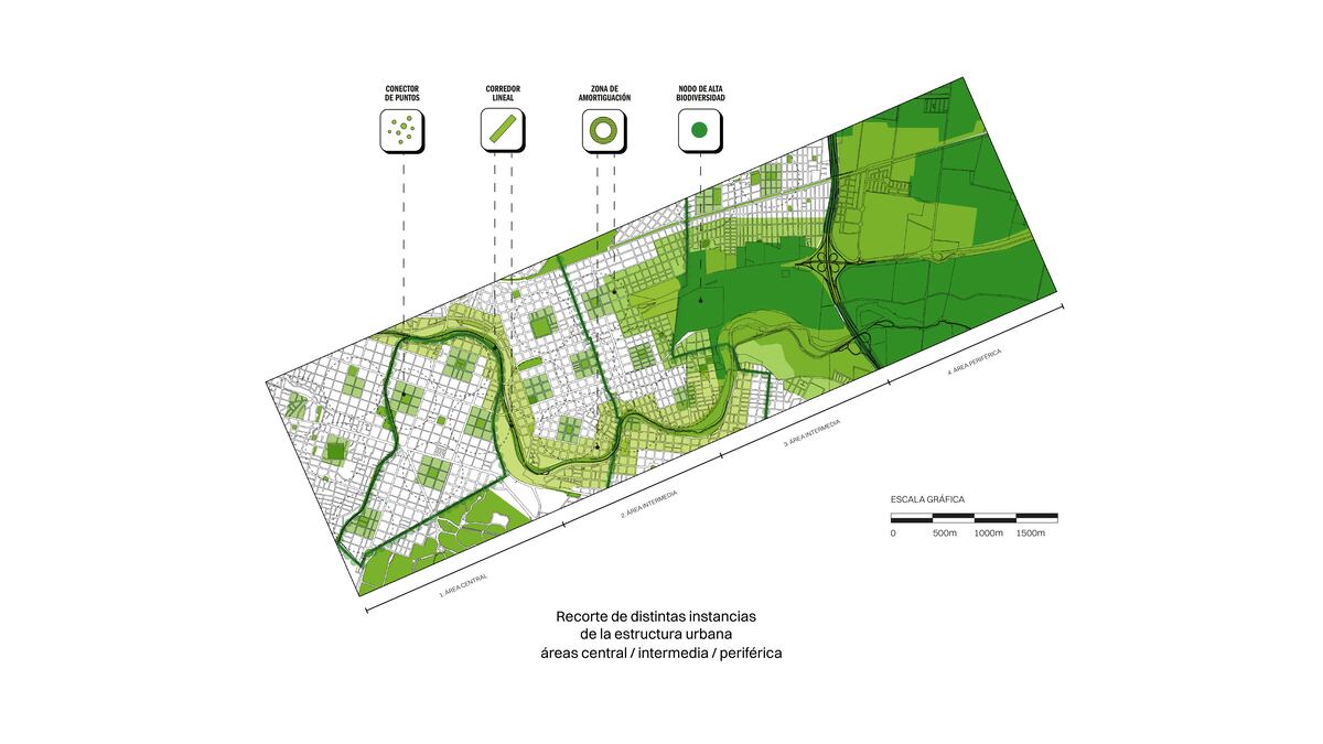 Proponen estrategias para favorecer el ambiente en la ciudad (Gentileza Camila Liandro).