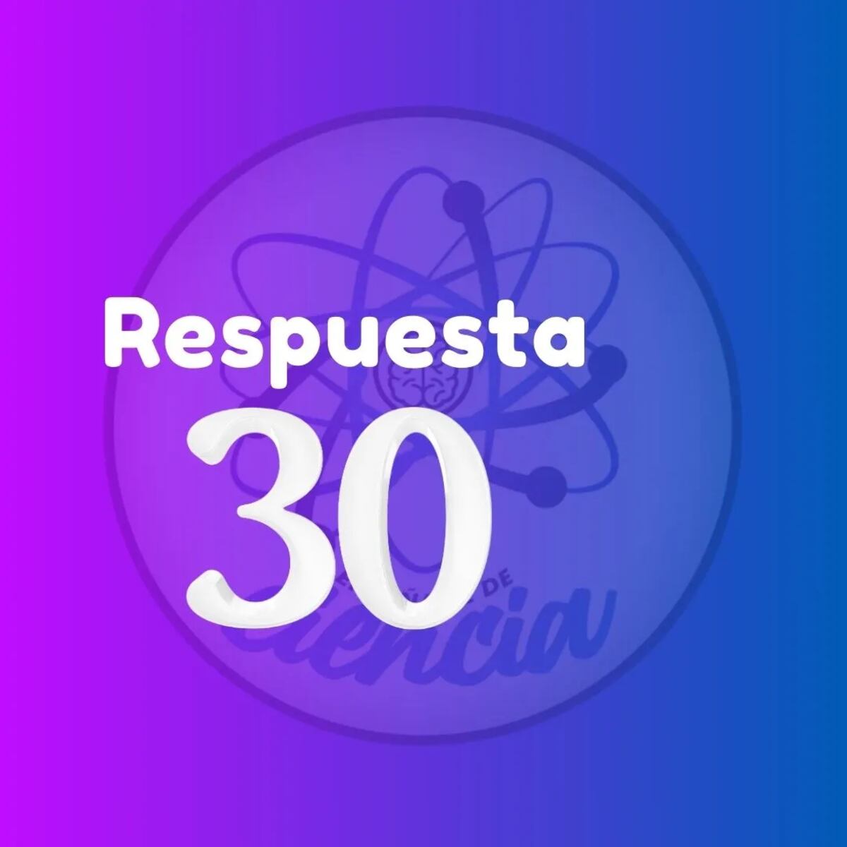 La solución del acertijo visual.