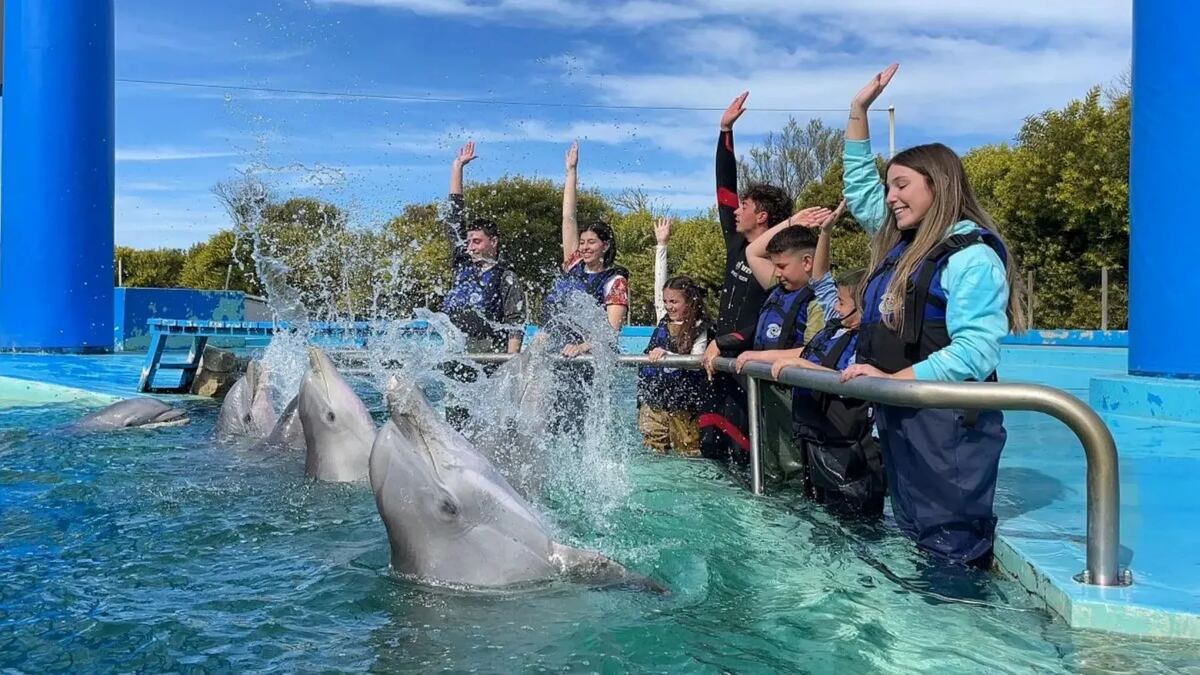 El cierre definitivo del aquarium de Mar del Plata: cuál va a ser el destino de sus animales. (Gentileza)