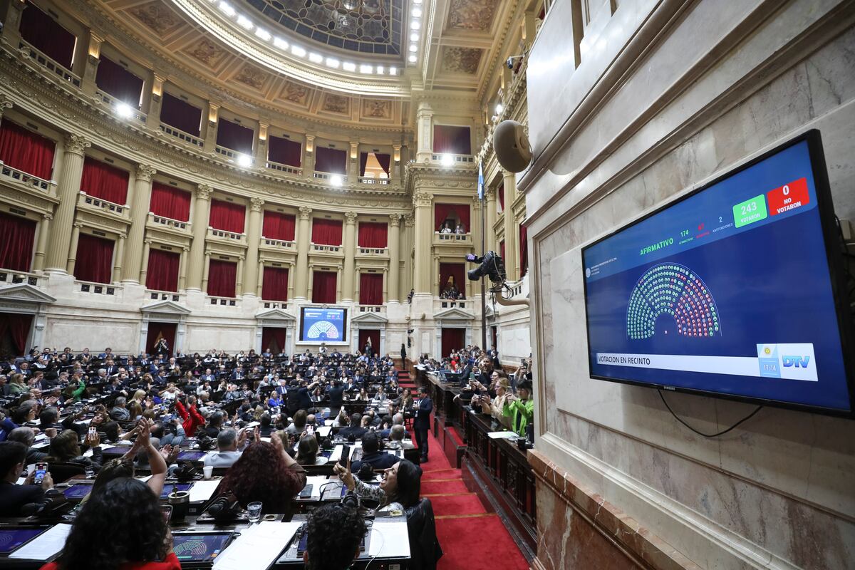 Diputados aprobó la insistencia del proyecto de Emergencia Sanitaria en la Salud Pediátrica y el proyecto de Ley de Financiamiento de la Educación Universitaria. (Corresponsalía)