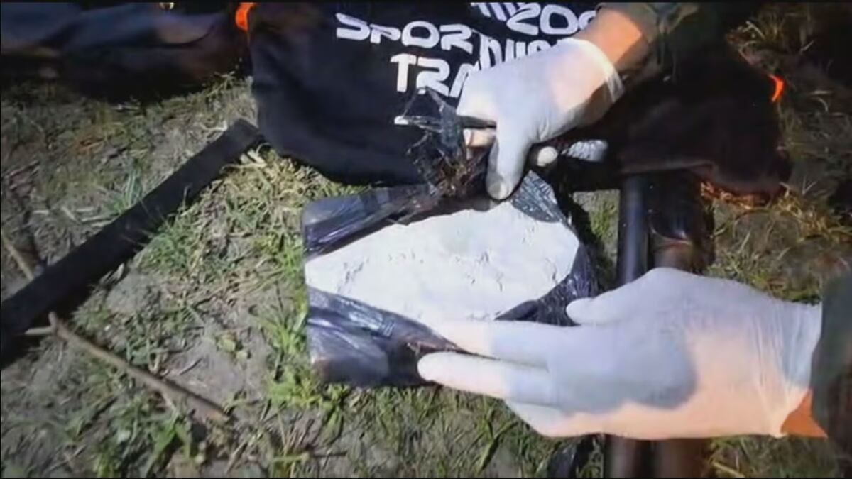 Detuvieron a siete policías en Chaco por intentar robar 9 kilos de cocaína durante una quema. (TN)