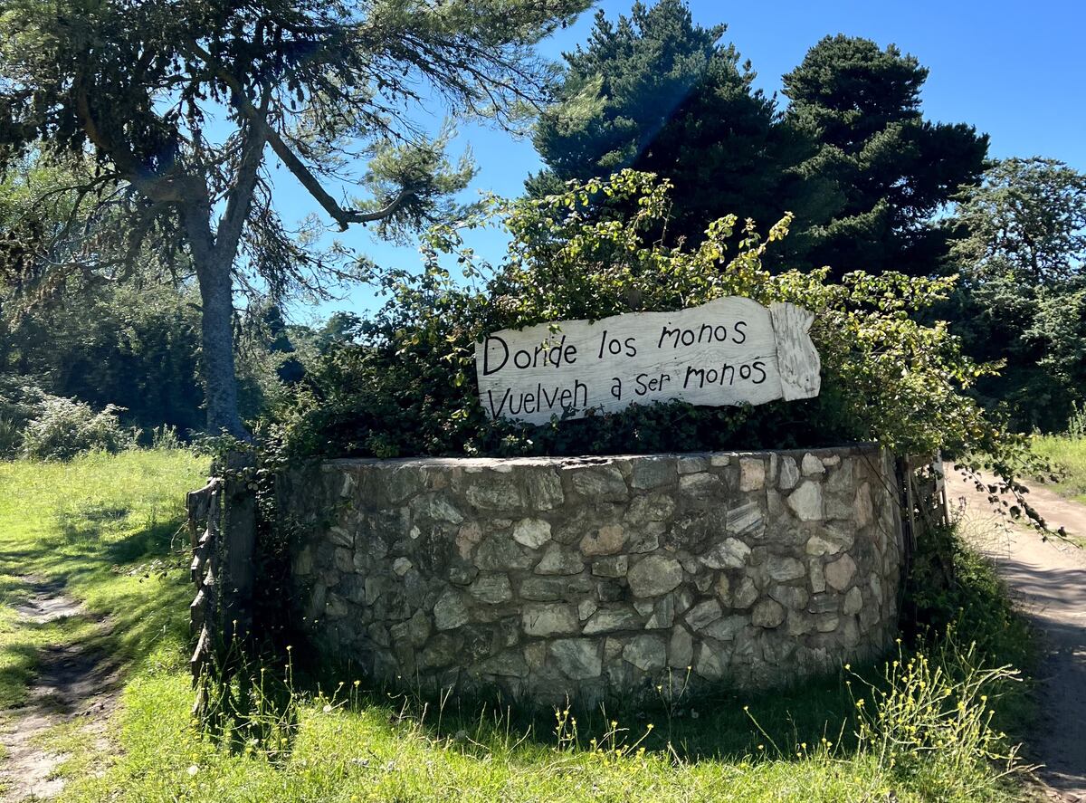 Imagen de la nota