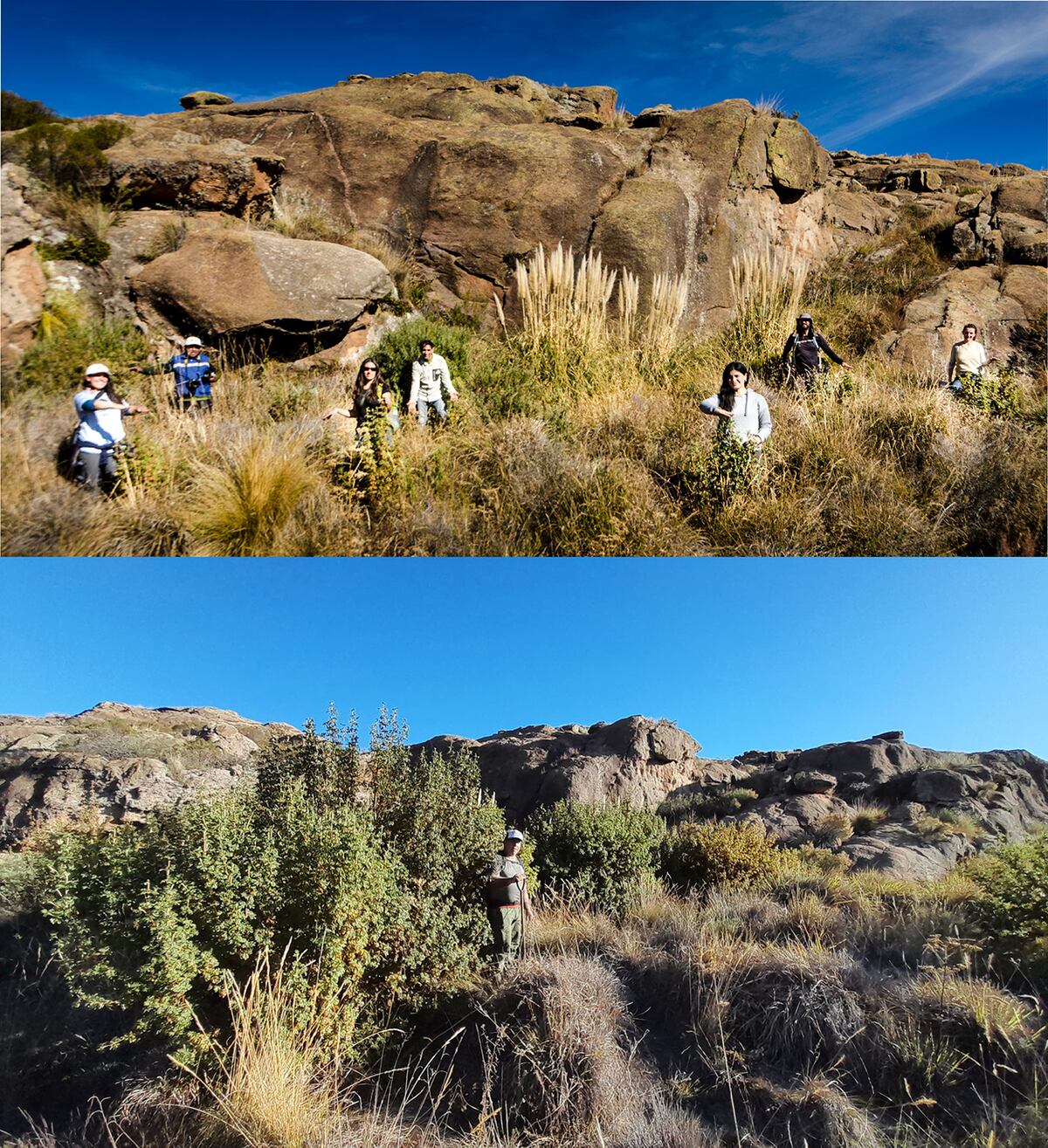 El antes y después de la plantación de tabaquillos en el nacimiento del río Mina Clavero
Foto: Gentileza
