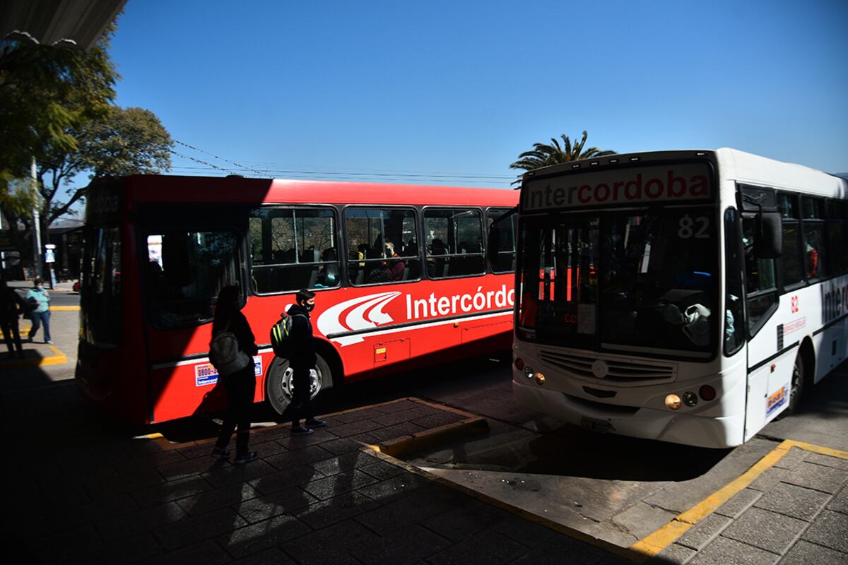 El Fondo Compensador para el transporte es de 27 mil millones para 2022, lo que significa un recorte real del 34% frente a 2021. (Pedro Castillo)