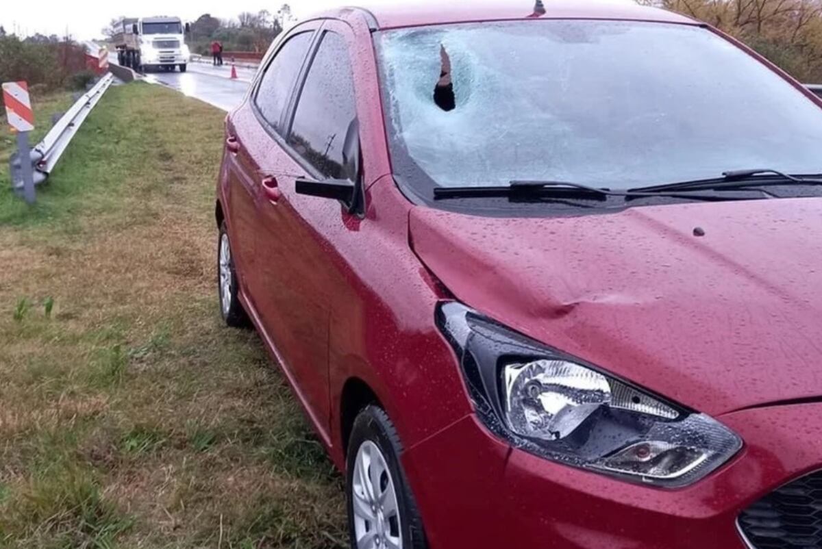 Ford Ka. Así quedó el segundo vehículo involucrado en el choque. (Canal 2 Cerrito)