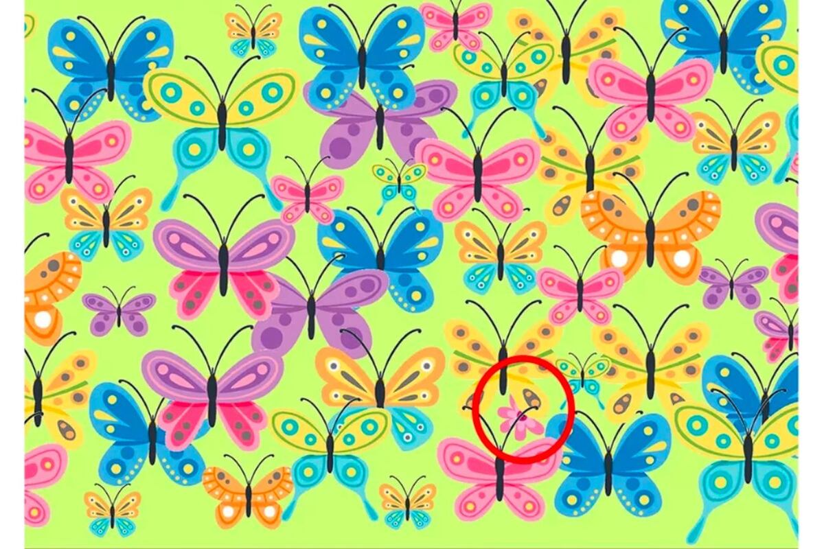 Solución reto visual - Mariposas