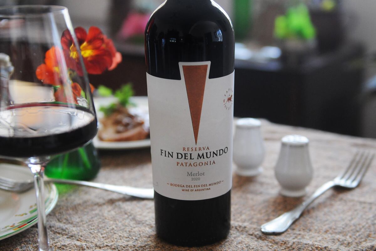 El merlot es una de las cepas que mejor se expresan en la Patagonia. (Foto Javier Ferreyra)