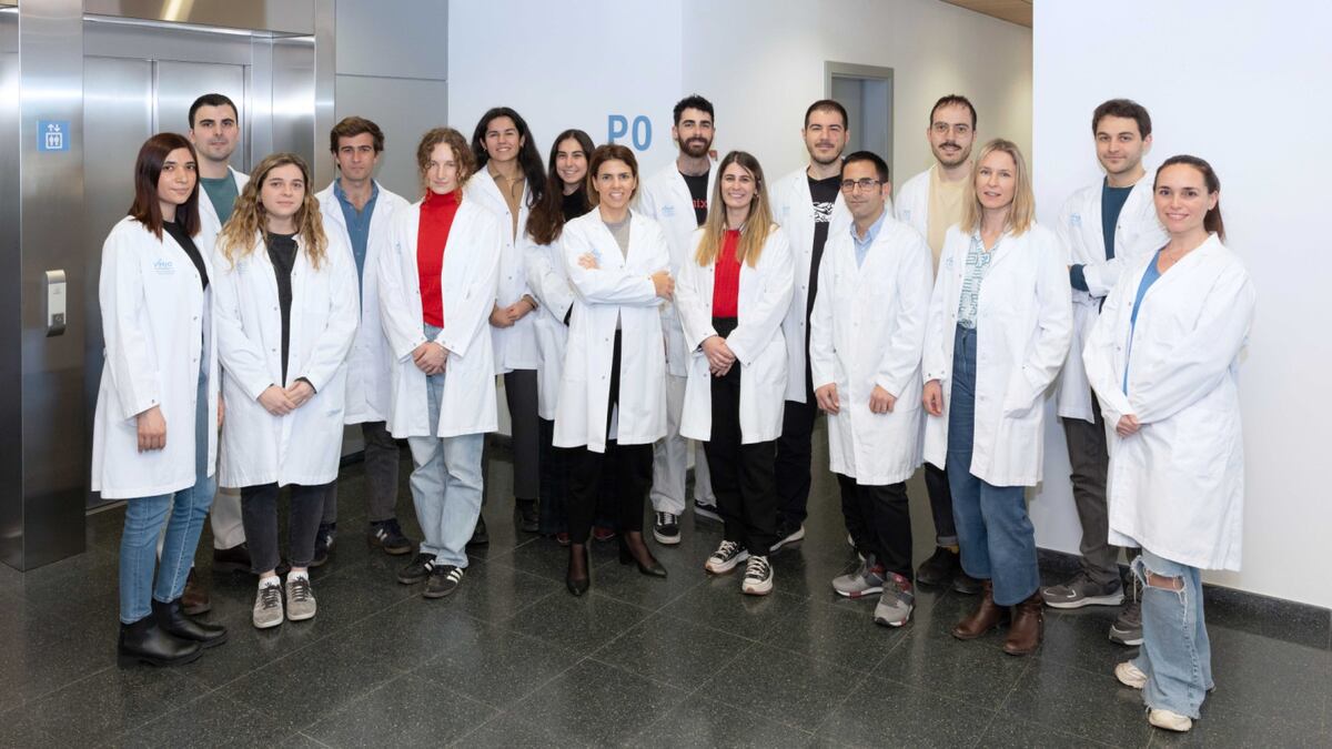 DISCERN, la IA diseñada por el Grupo de Radiòmica del VHIO con el Hospital Universitario de Bellvitge, ha aprendido a partir de las imágenes de resonancia magnética a diferenciar con una probabilidad de éxito del 78% entre tres tipos de tumores cerebrales.