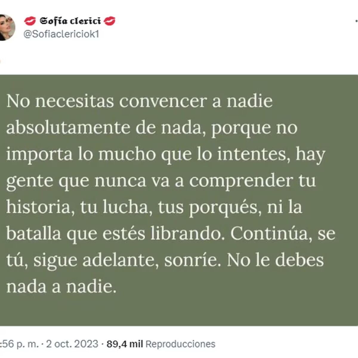 El mensaje de Sofía Clerici en Instagram (Captura Instagram).