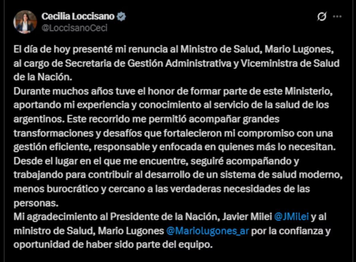 Renunció la viceministra de Salud, Cecilia Loccisano: la dimisión se suma a la ola de salidas en el Gabinete. (Gentileza)