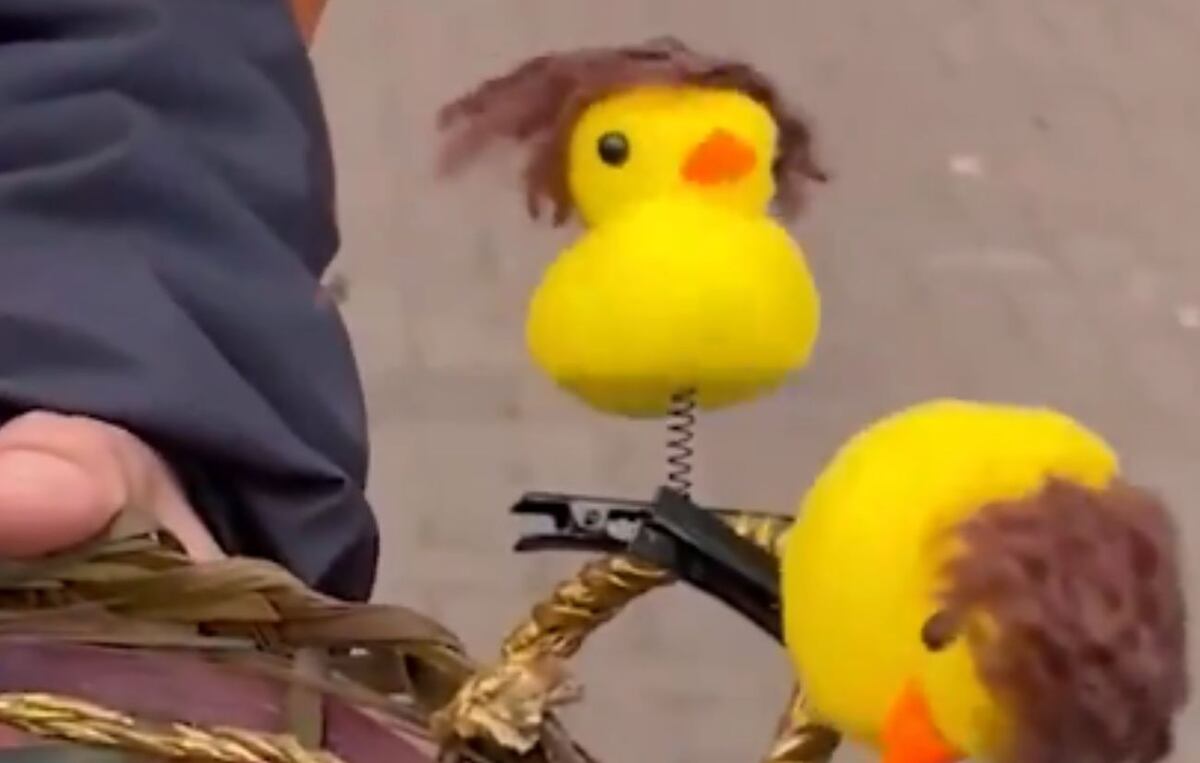 Un joven se volvió viral por vender "patitos con peluca" ante del show de Javier Milei. (Gentileza Clarín)