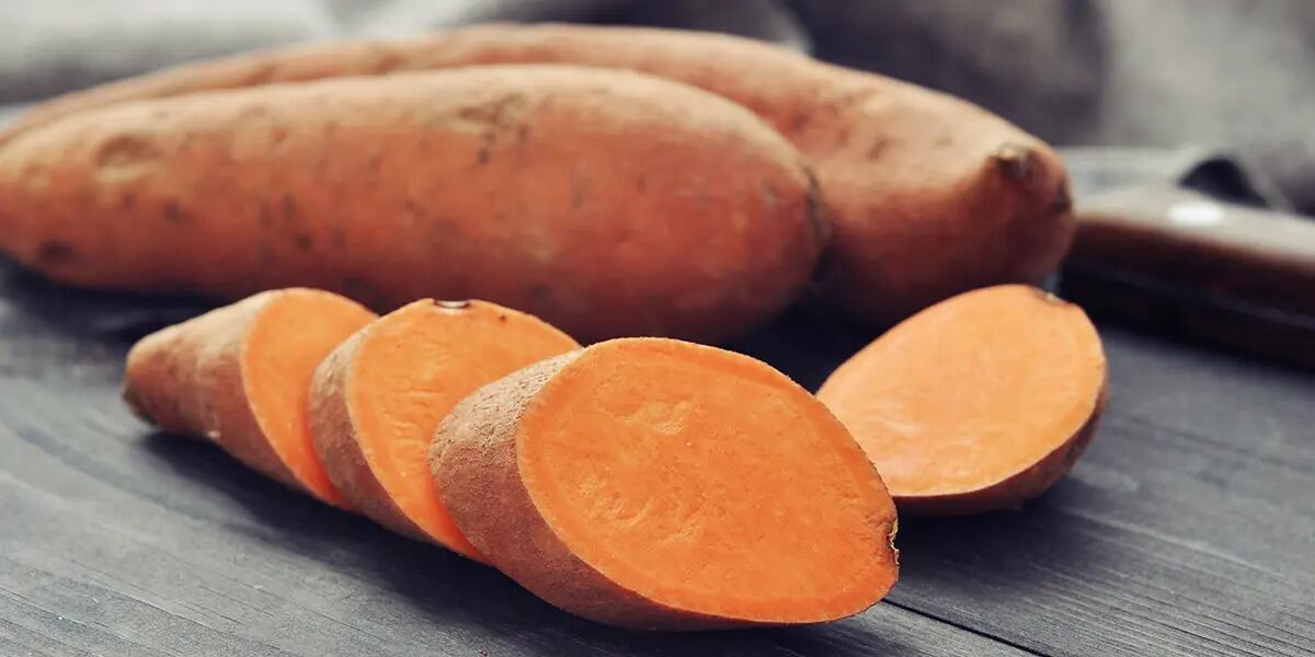 Batata para perros: por qué los veterinarios la recomiendan y cada cuánto pueden comerla.