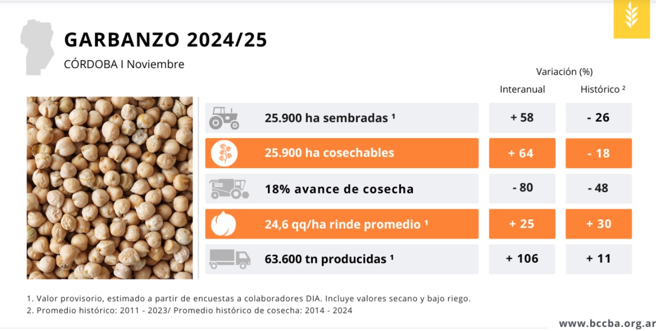 Garbanzo Córdoba