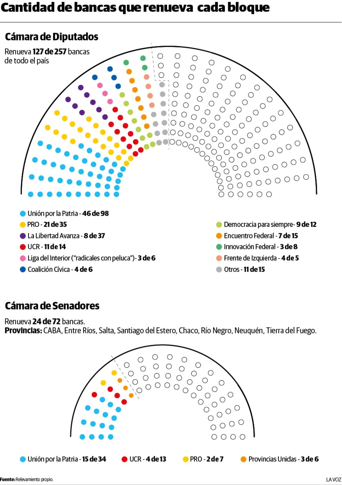 Elecciones 2025: infográfico sobr la composión de Diputados y la cantidad de bancas que se renuevan