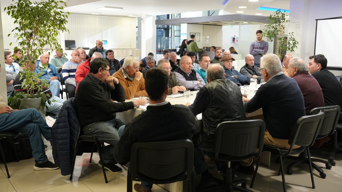Consorcios