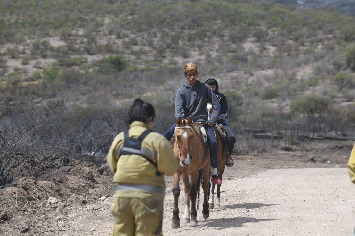 Guardia de cenizas en el sector conocido en un amplio sector de Punilla. (Ramiro Pereyra/ La Voz)