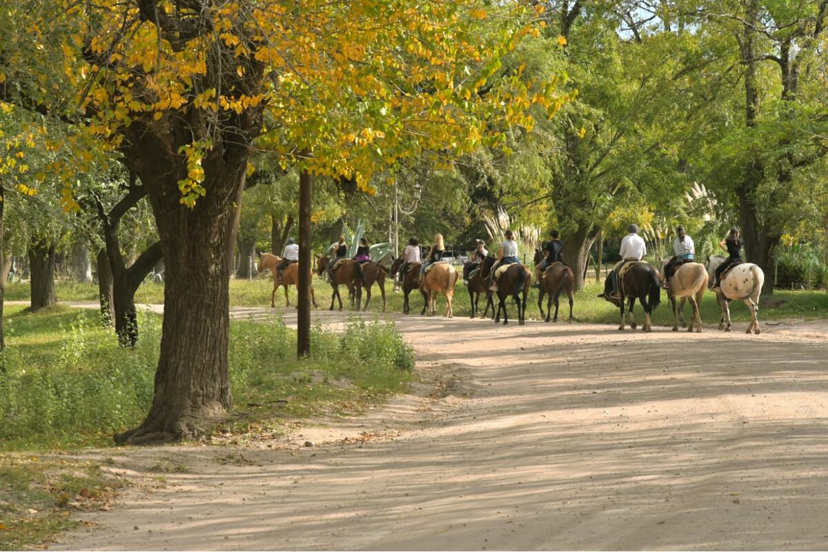 Llega la primera edición de Cabalgata de historia y naturaleza. Foto: gentileza Municipalidad de Villa del Totoral/ Laura Ávalos