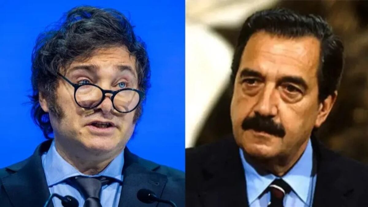 Javier Milei - Raúl Alfonsín (Collage web)
