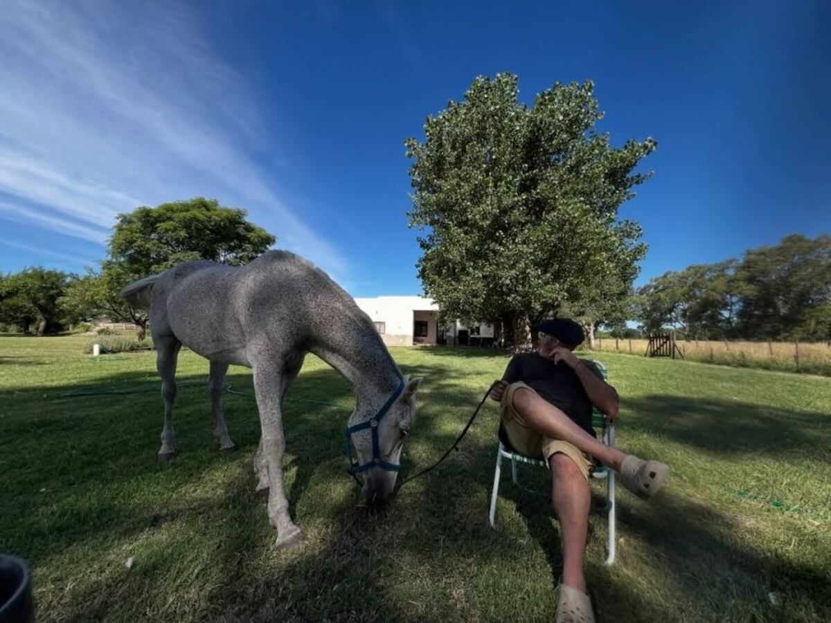 Denise Dumas y Campi: así es su casa de campo rústica, rodeada de naturaleza y caballos