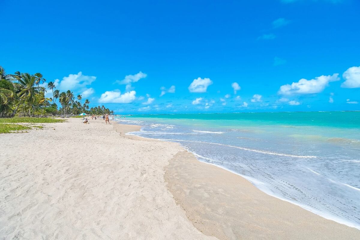 Cuáles son las 5 playas del Nordeste de Brasil más lindas para conocer
